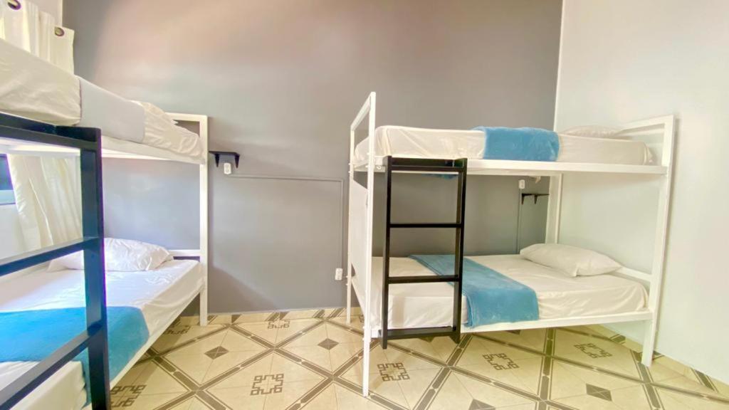 Alto Hostel Мексико Сити Екстериор снимка