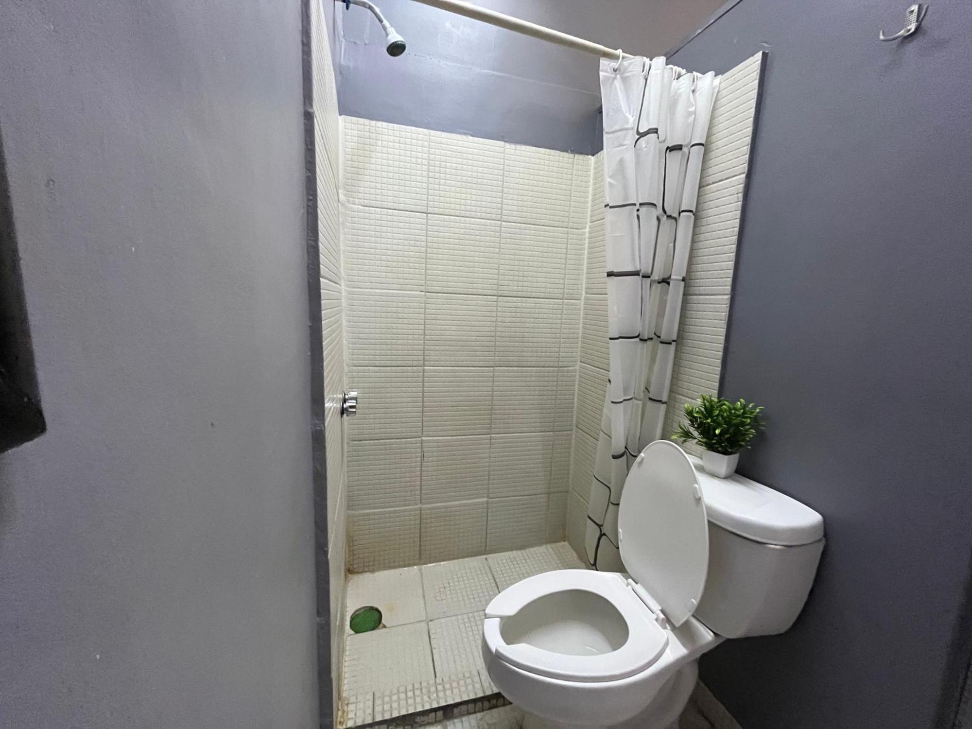 Alto Hostel Мексико Сити Екстериор снимка