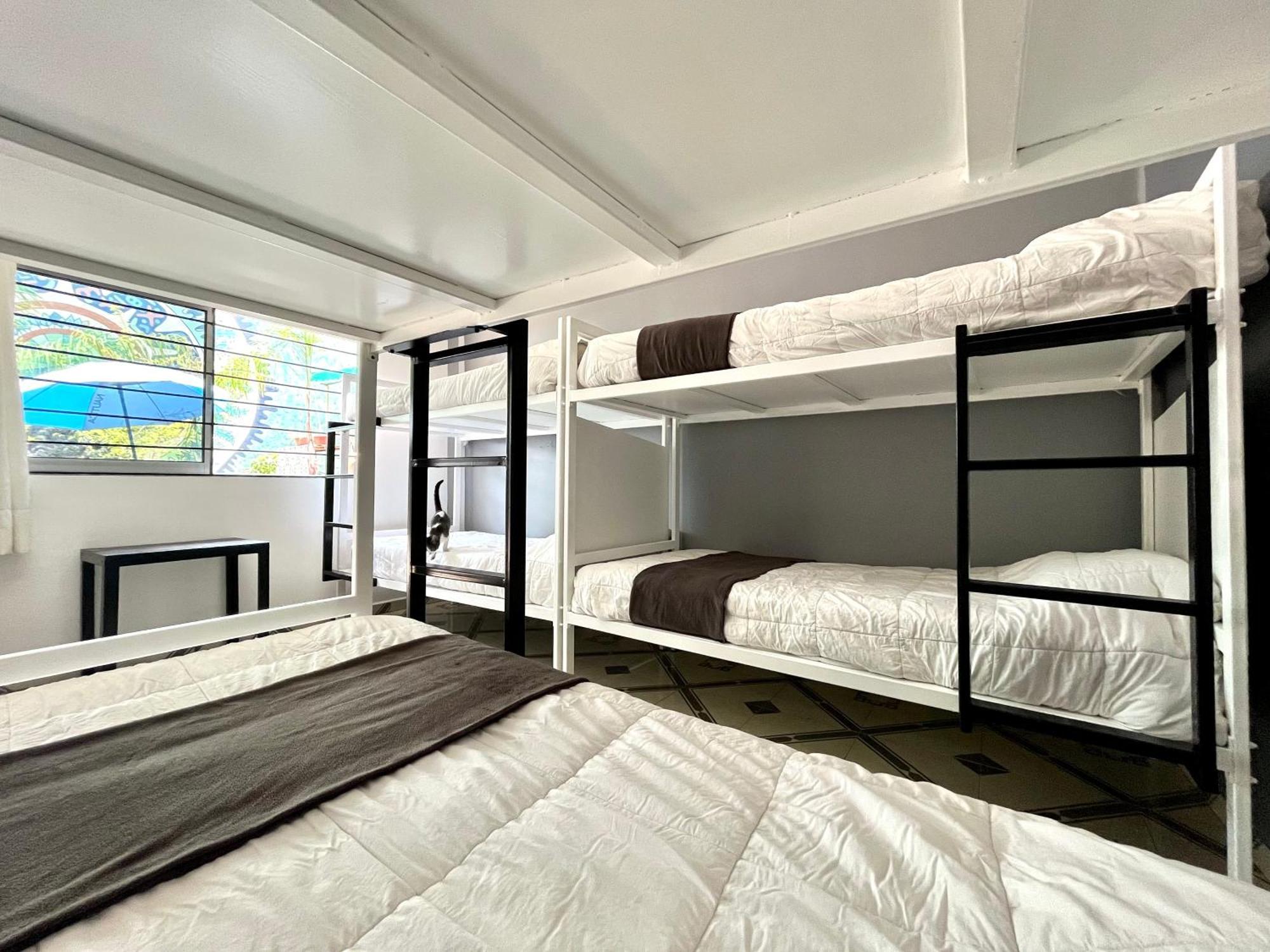 Alto Hostel Мексико Сити Екстериор снимка