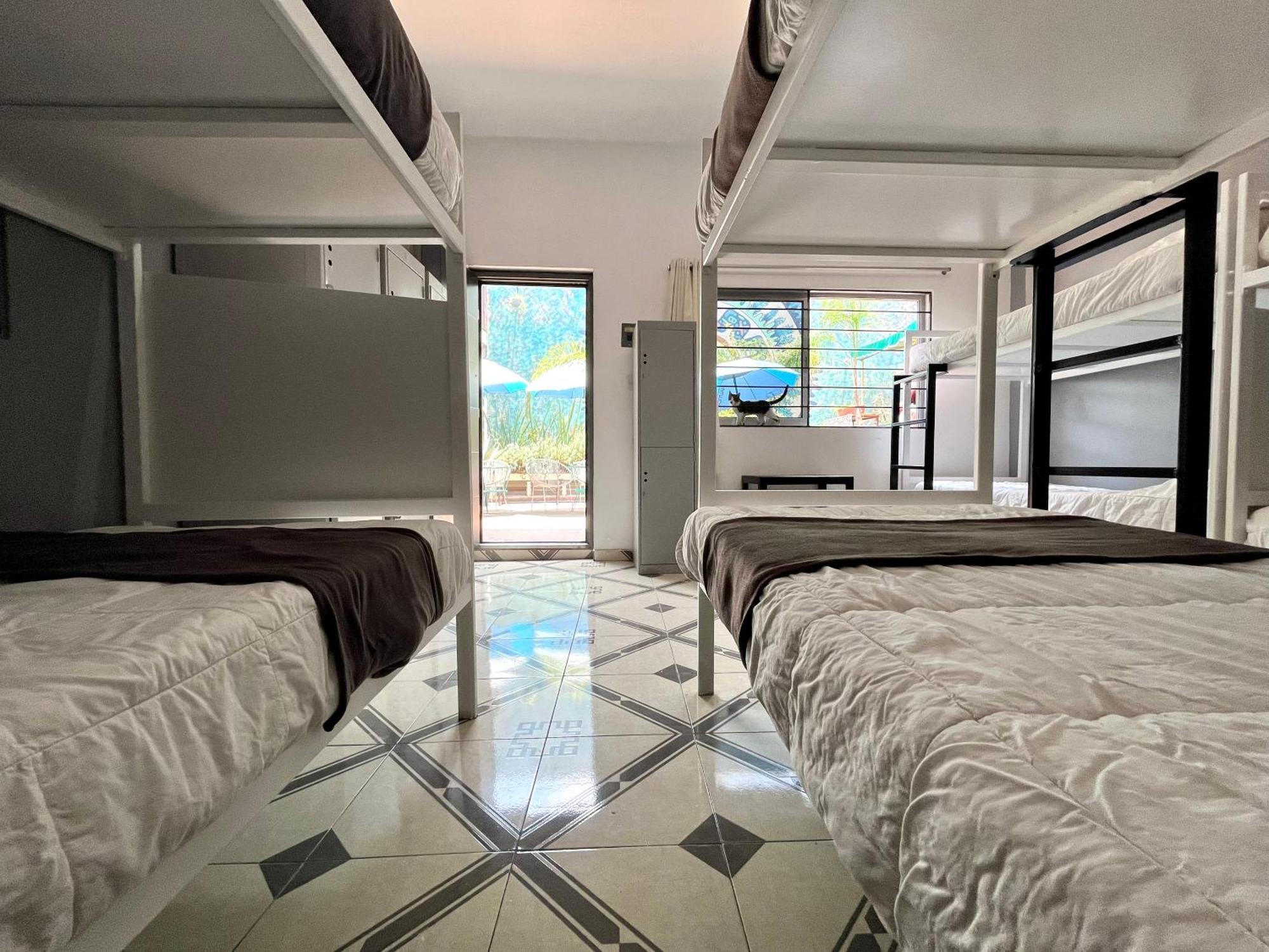 Alto Hostel Мексико Сити Екстериор снимка